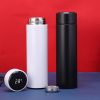 Smart Temperature Display Water Bottle