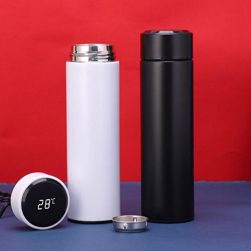 Smart Temperature Display Water Bottle