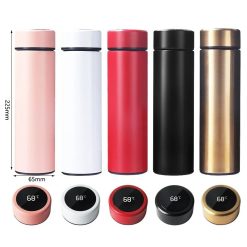 Smart Temperature Display Water Bottle
